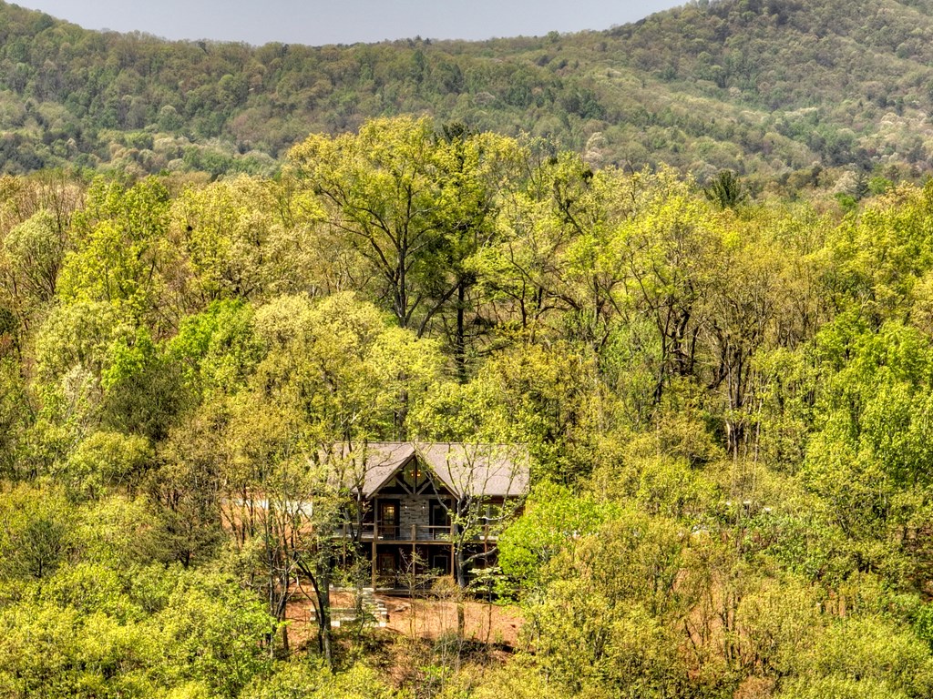 812 Flagpole Road Ellijay, GA 30540 - Photo 50 of 60