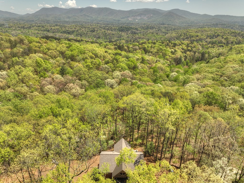 812 Flagpole Road Ellijay, GA 30540 - Photo 51 of 60