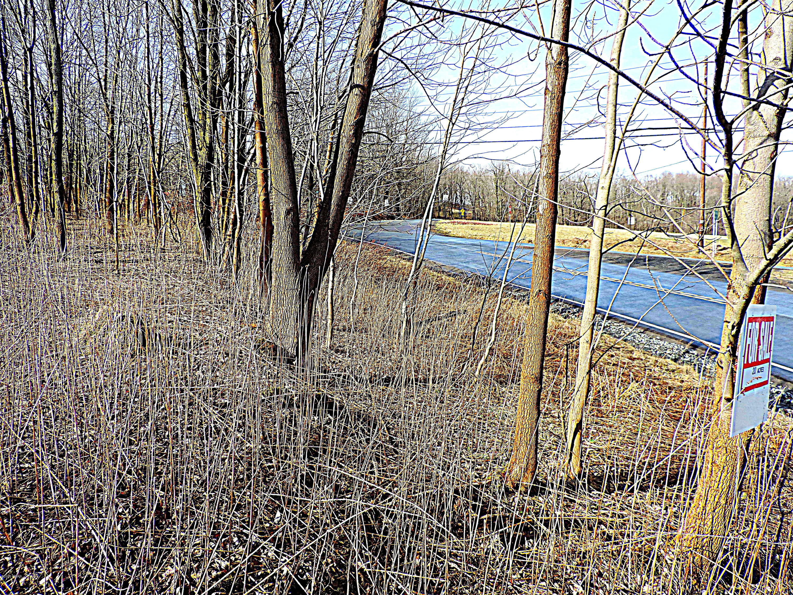 670 & Route Pleasant Mount, PA 18453 - Photo 17 of 20 20 Acs. Rte170 & 670