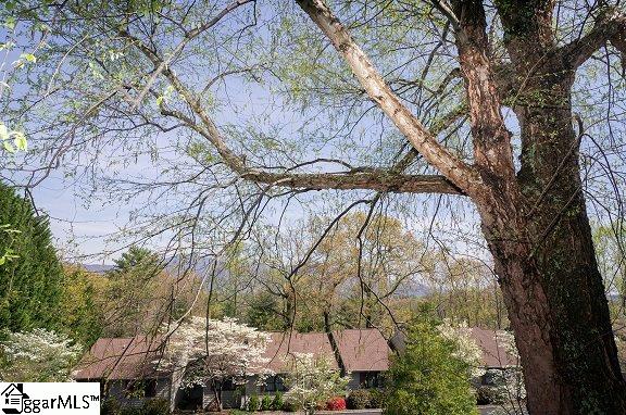 77 Chestnut Street, Unit 101 Tryon, NC 28782 - Photo 15 of 15