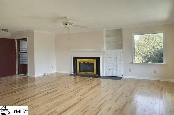 77 Chestnut Street, Unit 101 Tryon, NC 28782 - Photo 3 of 15