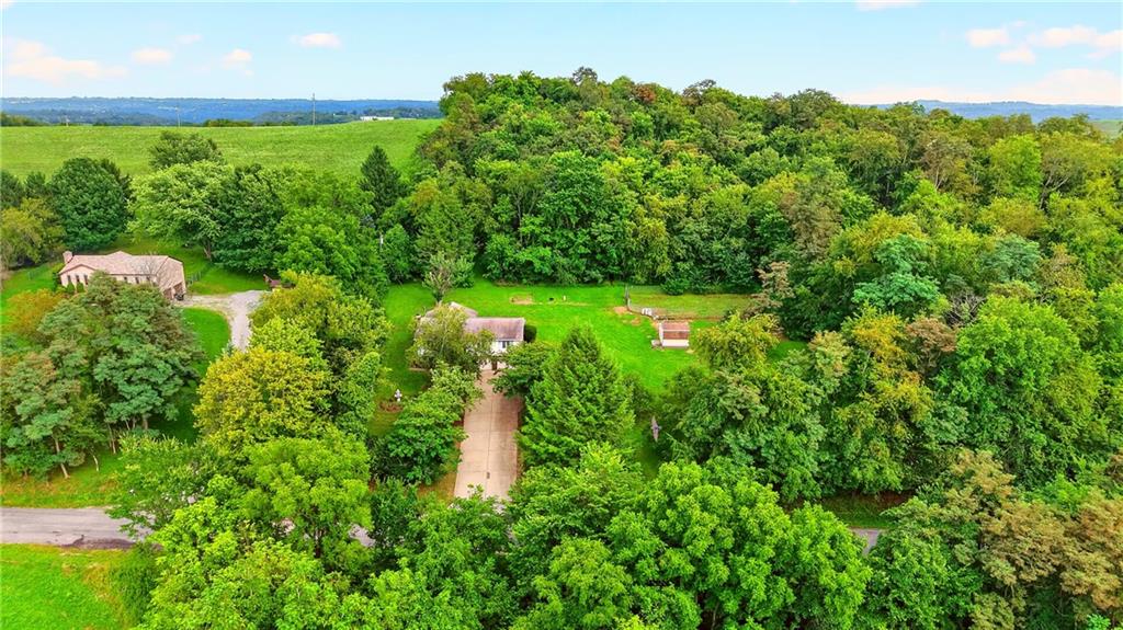 224 Bowman Road Bridgeville, PA 15017 - Photo 45 of 50 Lots of room for a pool, garden, play and Fido to roam!