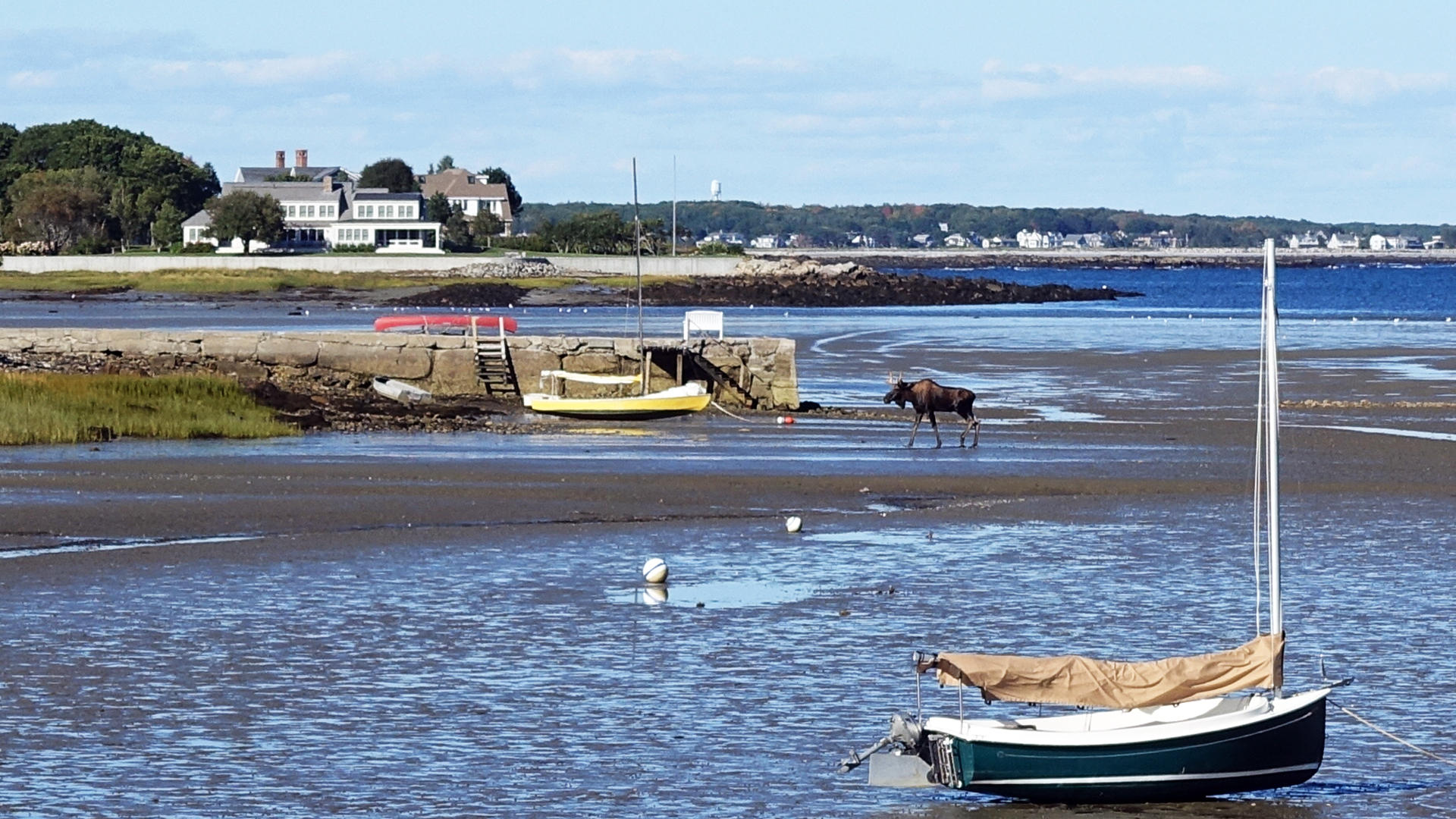 76 Pier Road Kennebunkport, ME 04046 - Photo 26 of 29 Low tide