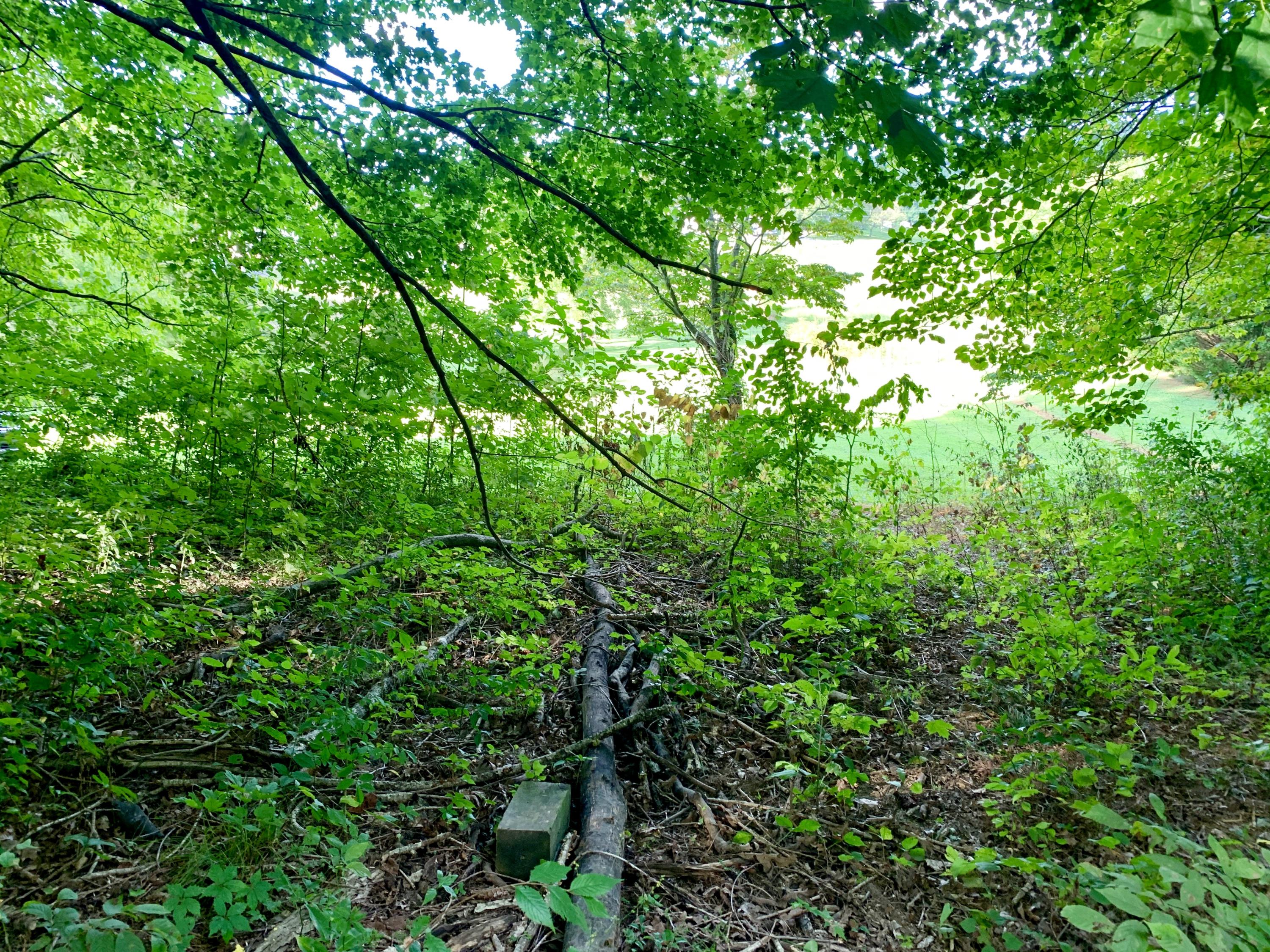 Mt Paran Loop Loop Jacksboro, TN 37757 - Photo 5 of 9 fullsizeoutput_37f4