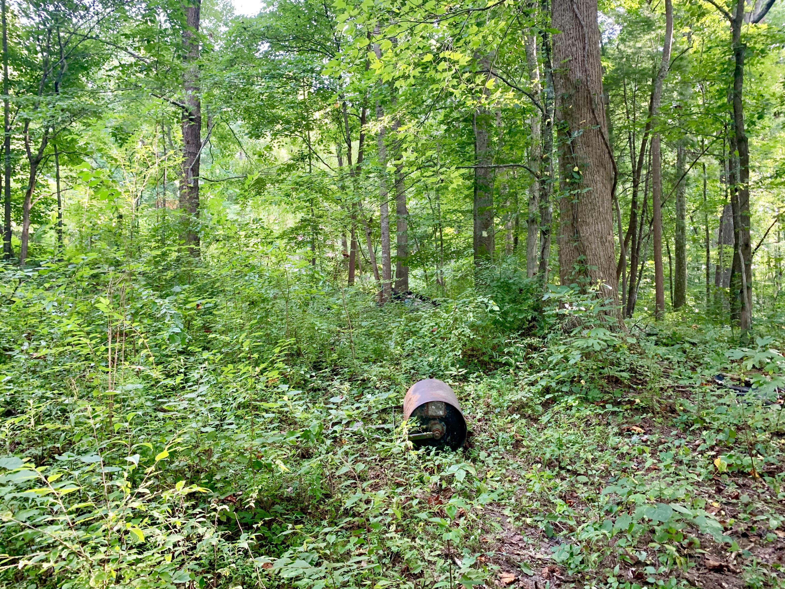 Mt Paran Loop Loop Jacksboro, TN 37757 - Photo 6 of 9 fullsizeoutput_37f6