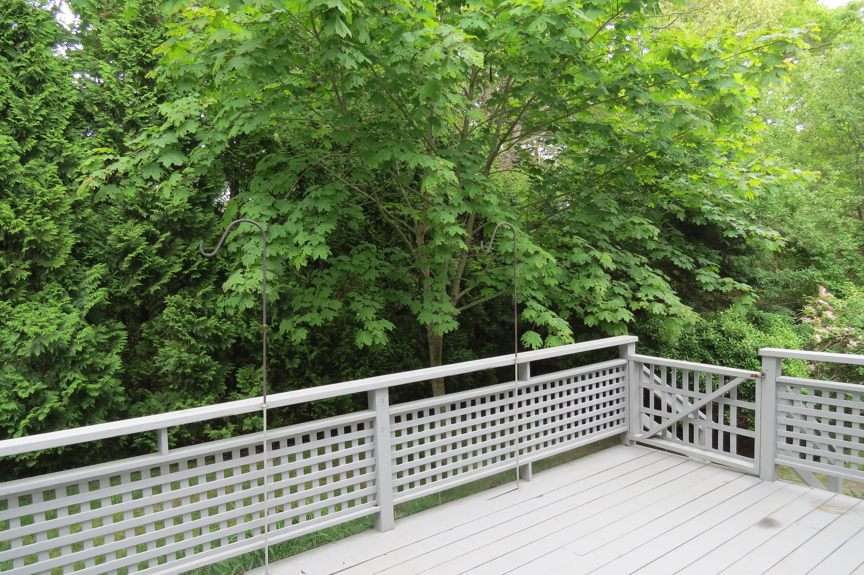 367 Orleans Road, Unit A North Chatham, MA 02650 - Photo 20 of 22 IMG_9443