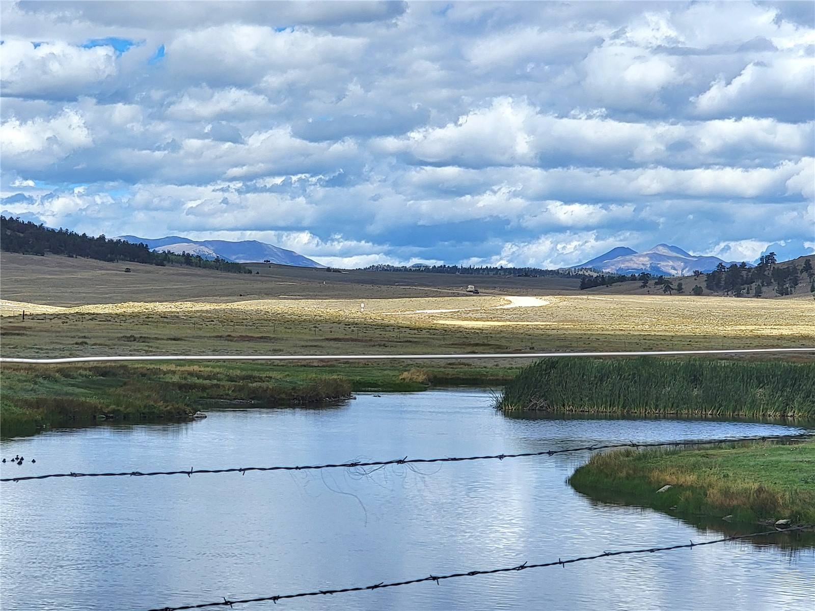 20 Yellowstone Road Hartsel, CO 80449 - Photo 31 of 50 Gallery Image 31