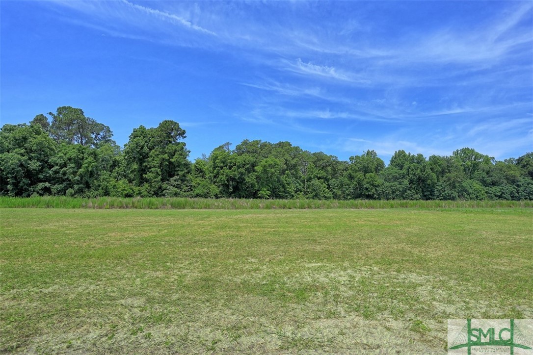 2199 Metter Road Portal, GA 30450 - Photo 35 of 39 Gallery Image 35