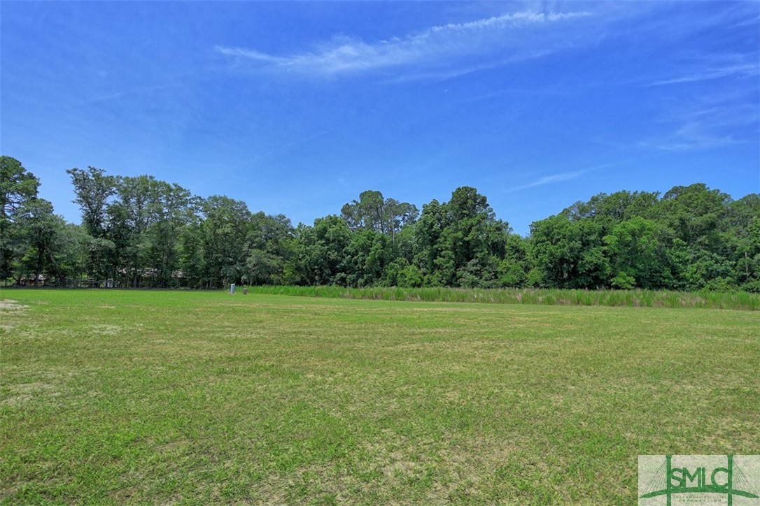 2199 Metter Road Portal, GA 30450 - Photo 38 of 39 Gallery Image 38