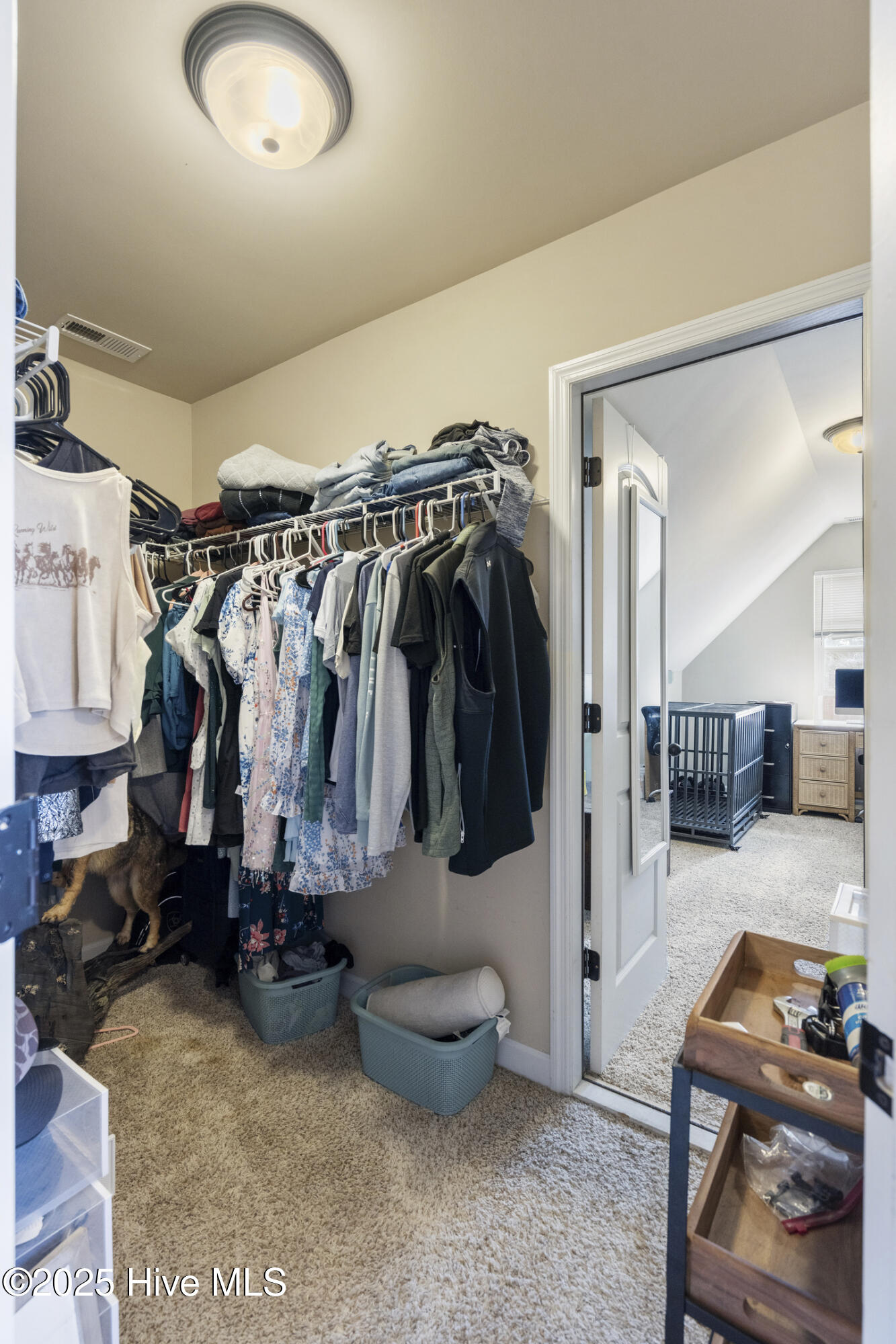 100 Chasity Way Hubert, NC 28539 - Photo 30 of 46 mls-DSC05819