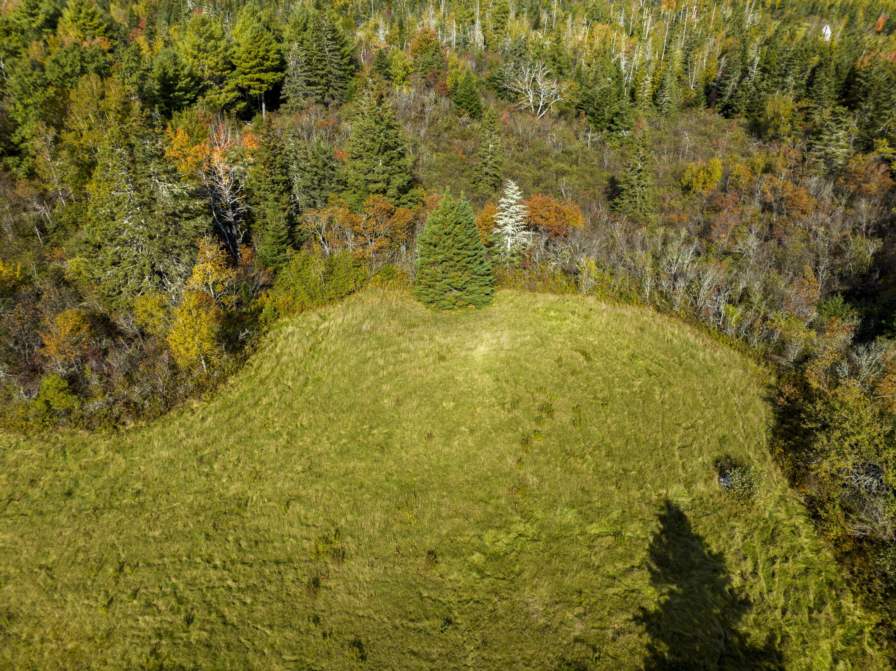 33-1 Lead Mine Road Lubec, ME 04652 - Photo 5 of 7 Map 7 Lot 33-1 Lubec (26 of 30)