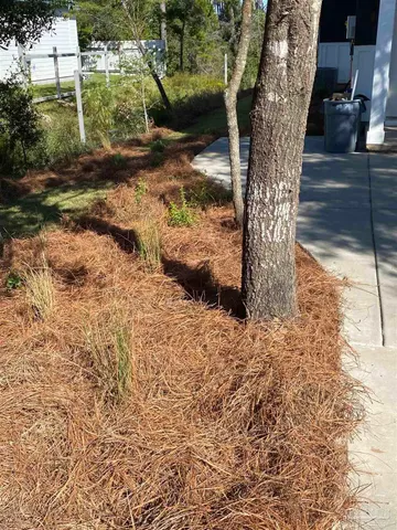 a backyard of a house with lots of green space
