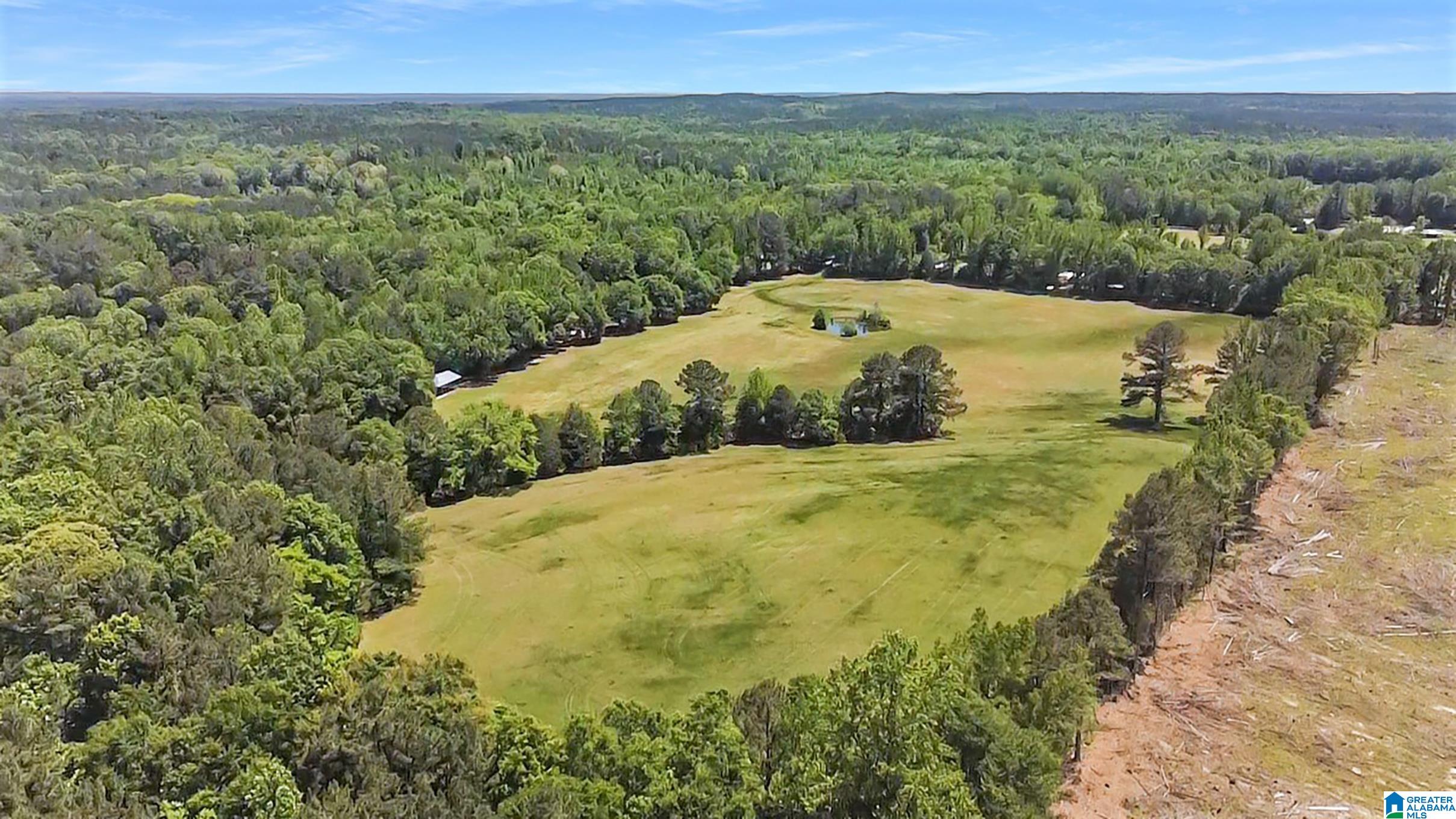5133 Highway 36 Randolph Al Randolph, AL 36792 - Photo 32 of 36