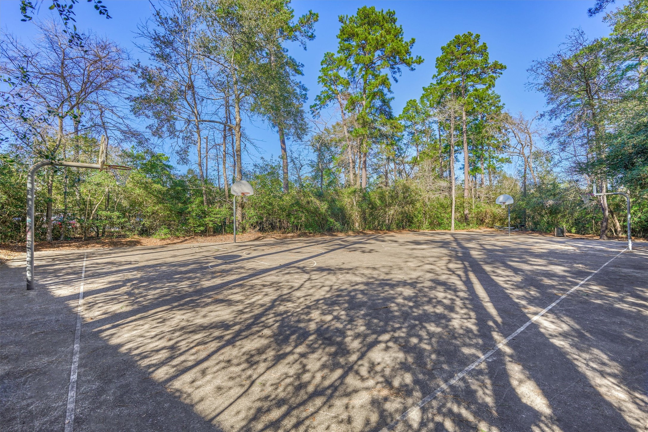 23 Ripple Rush Court The Woodlands, TX 77381 - Photo 23 of 32 Local area basketball court!