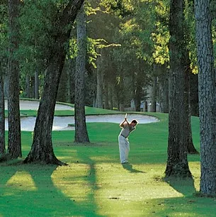 $1,645,000 | 23 Ripple Rush Court, The Woodlands, TX 77381