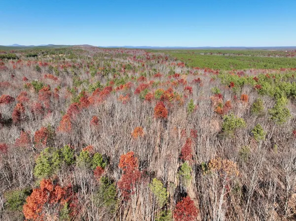 a view of lake and mountain