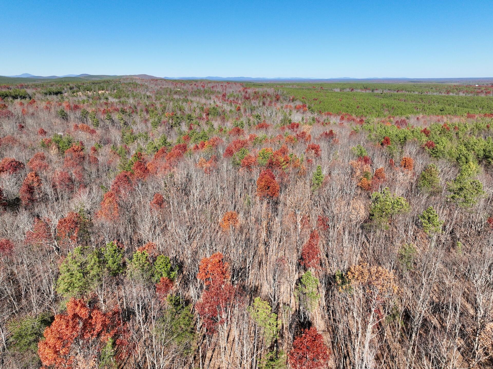 a view of lake and mountain