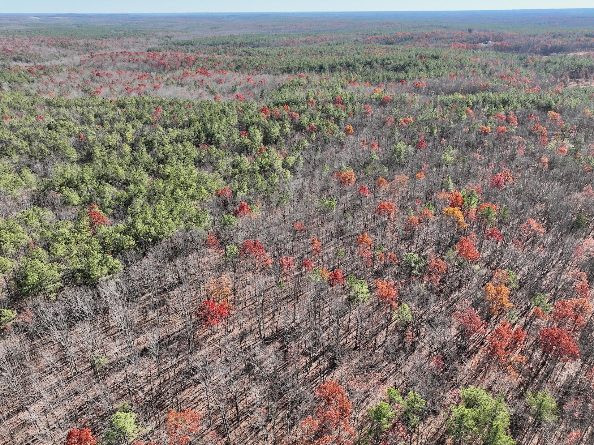 0 Lemon Ridge Lane Appomattox, VA 24522 - Photo 13 of 36 a view of a field with trees in the background