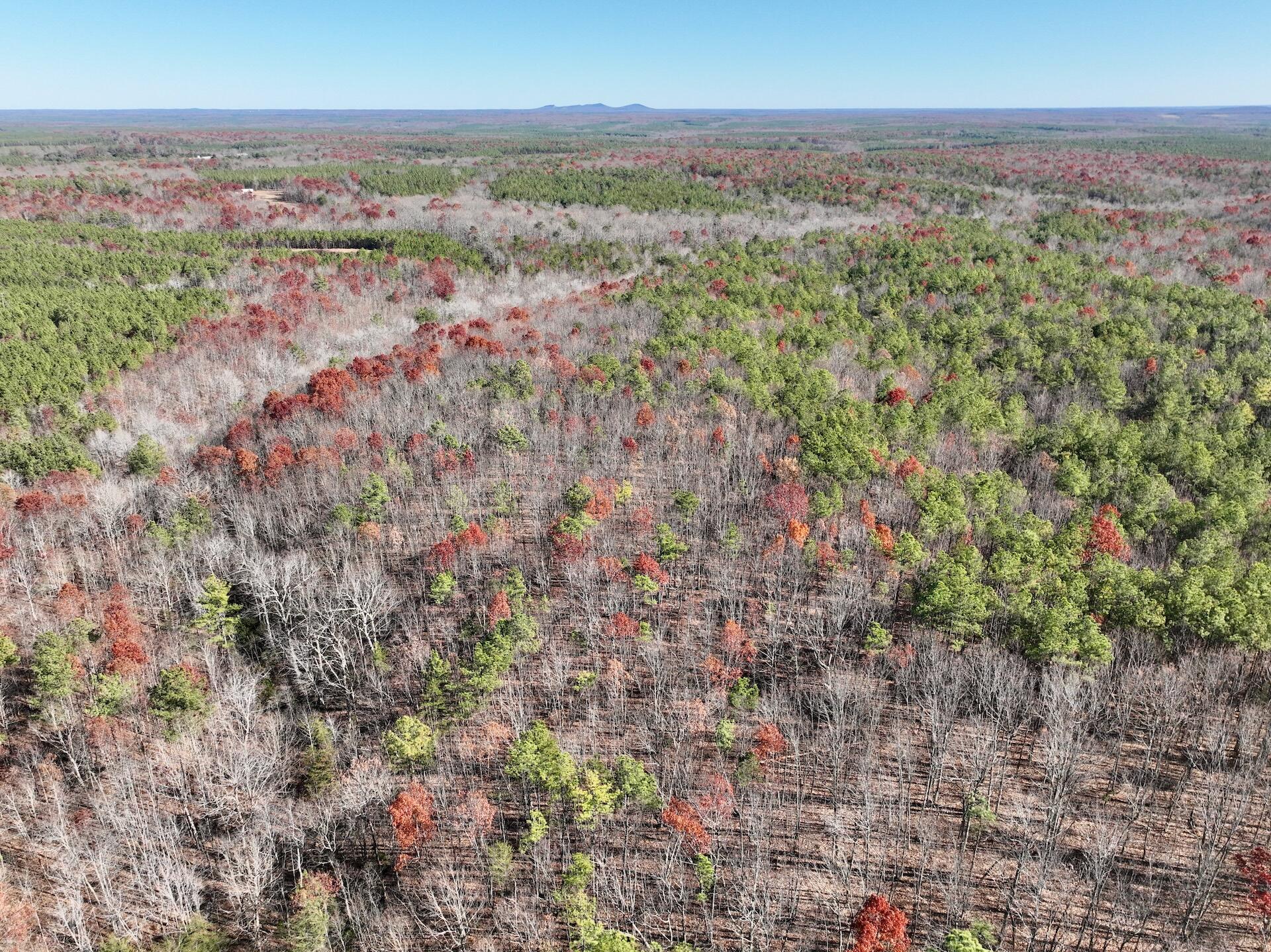 0 Lemon Ridge Lane Appomattox, VA 24522 - Photo 14 of 36 a view of city and mountain