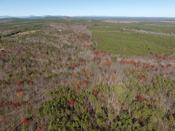 a backyard of a house with a tree