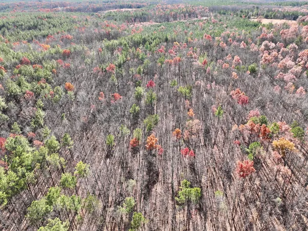 a view of outdoor space with trees
