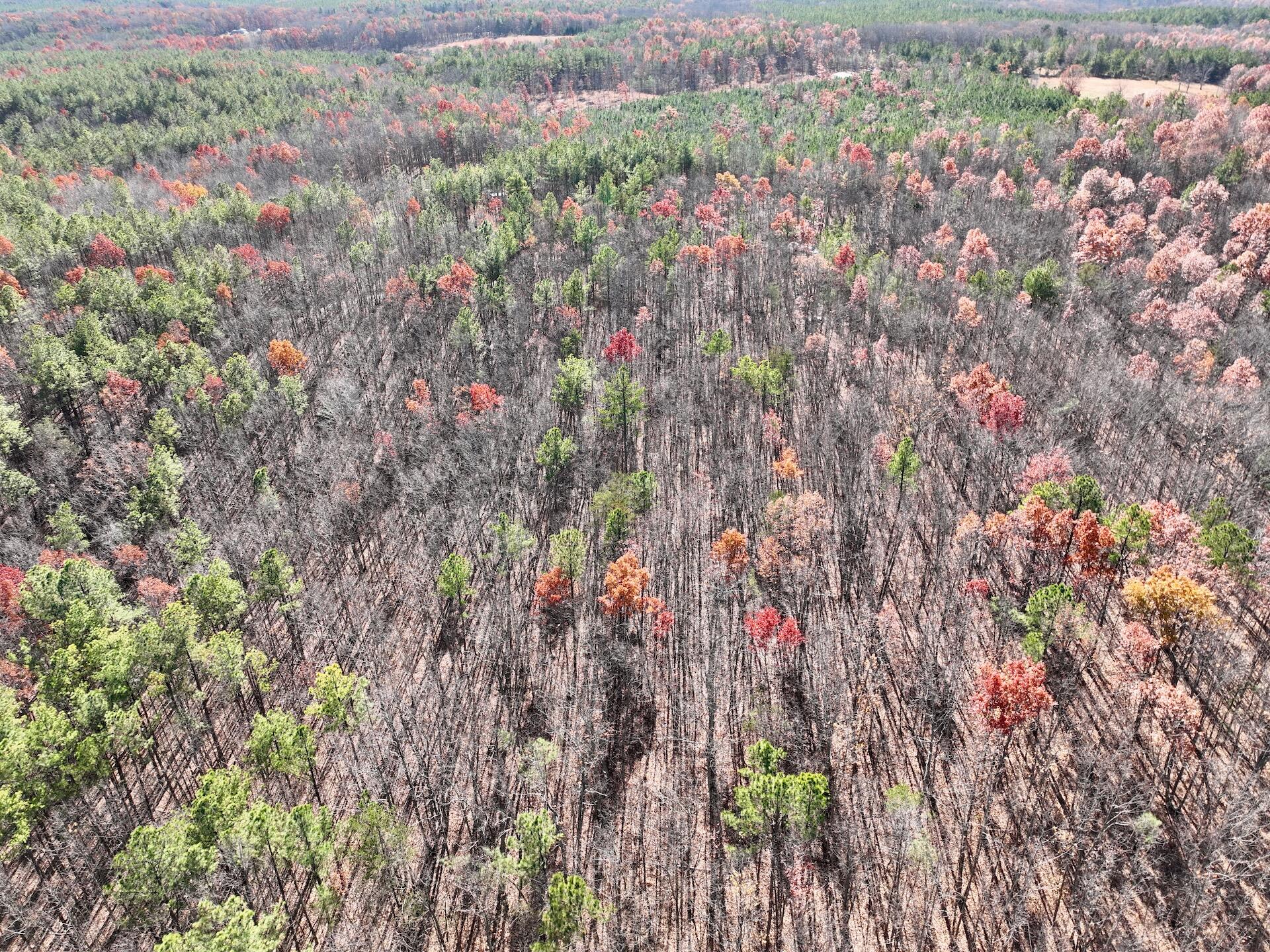 0 Lemon Ridge Lane Appomattox, VA 24522 - Photo 20 of 36