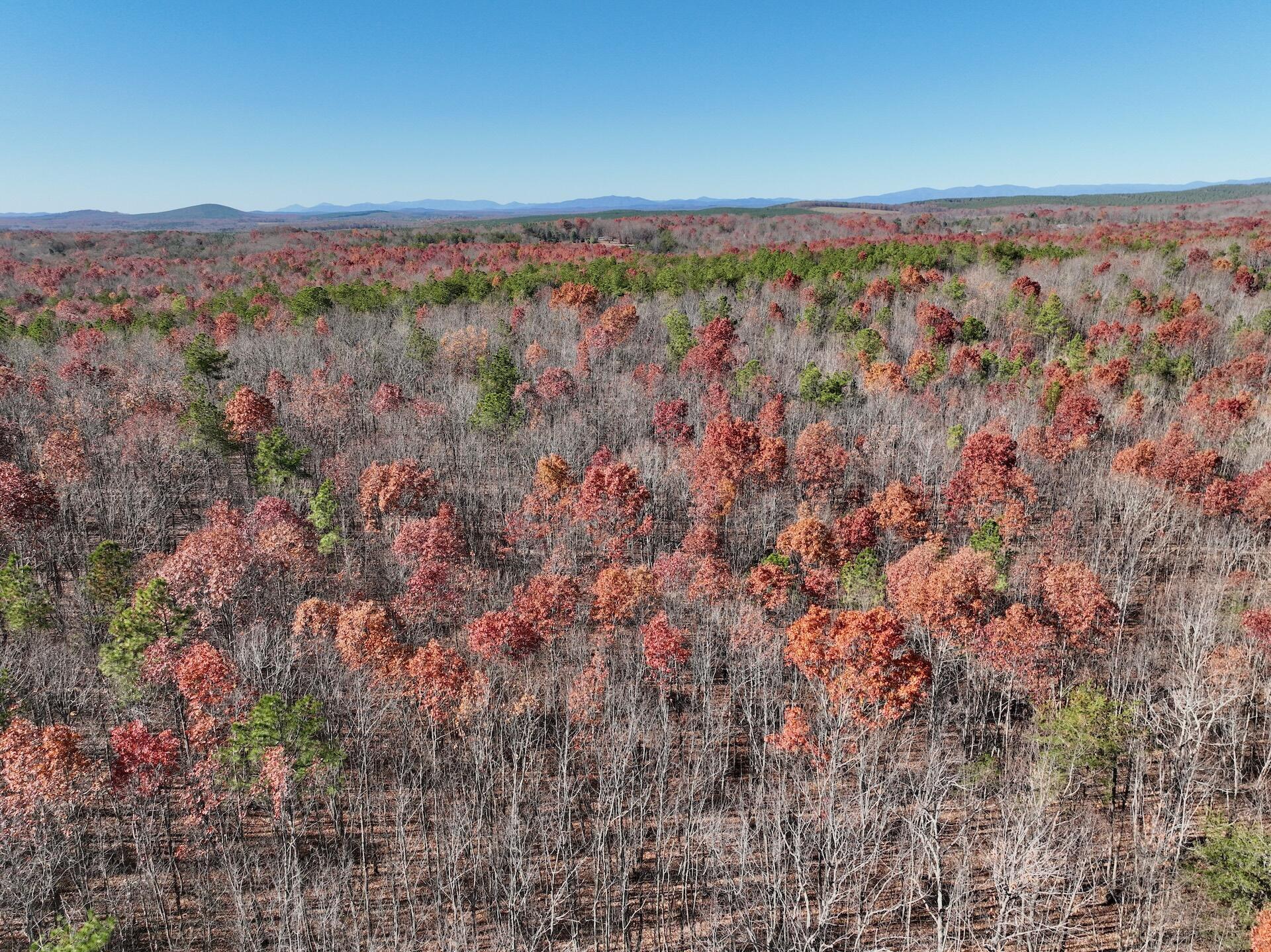 0 Lemon Ridge Lane Appomattox, VA 24522 - Photo 2 of 36 a view of a city