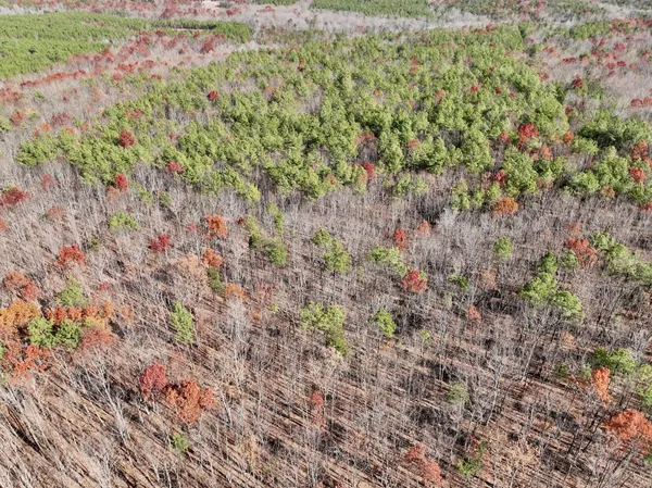 a view of backyard with green space