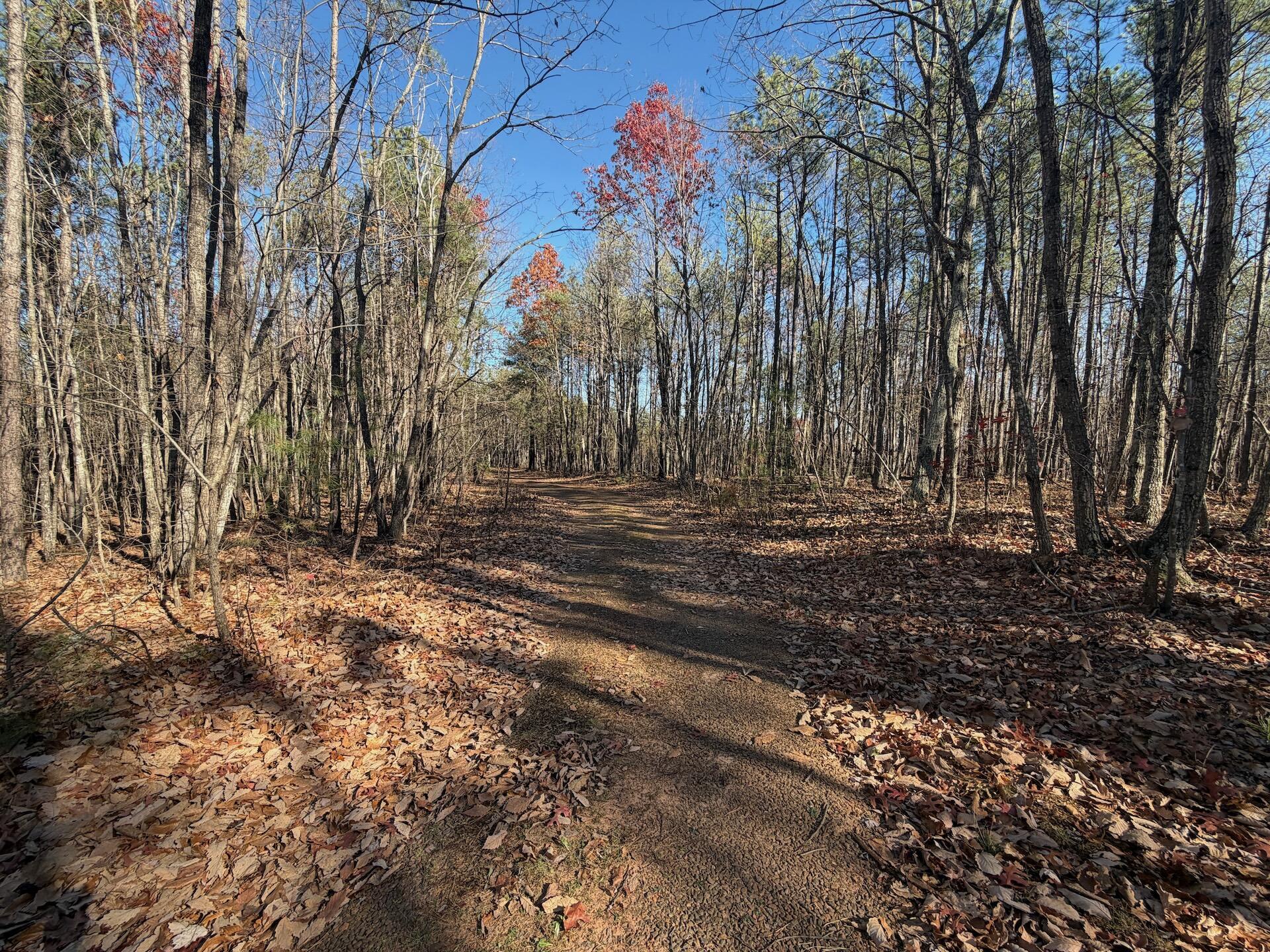 0 Lemon Ridge Lane Appomattox, VA 24522 - Photo 25 of 36 a view of backyard with green space