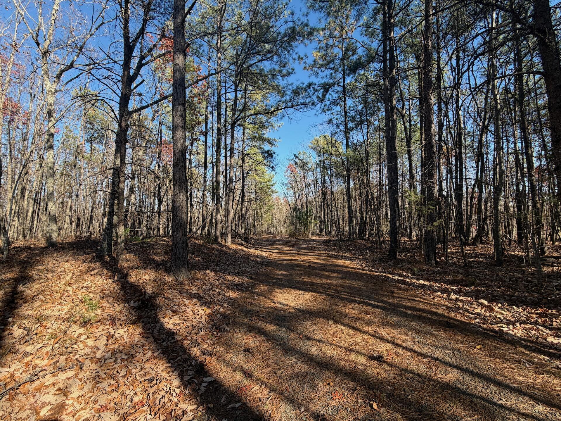 0 Lemon Ridge Lane Appomattox, VA 24522 - Photo 26 of 36 a view of a yard with wooden fence