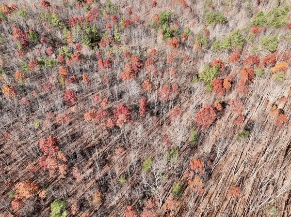 a view of wooden floor