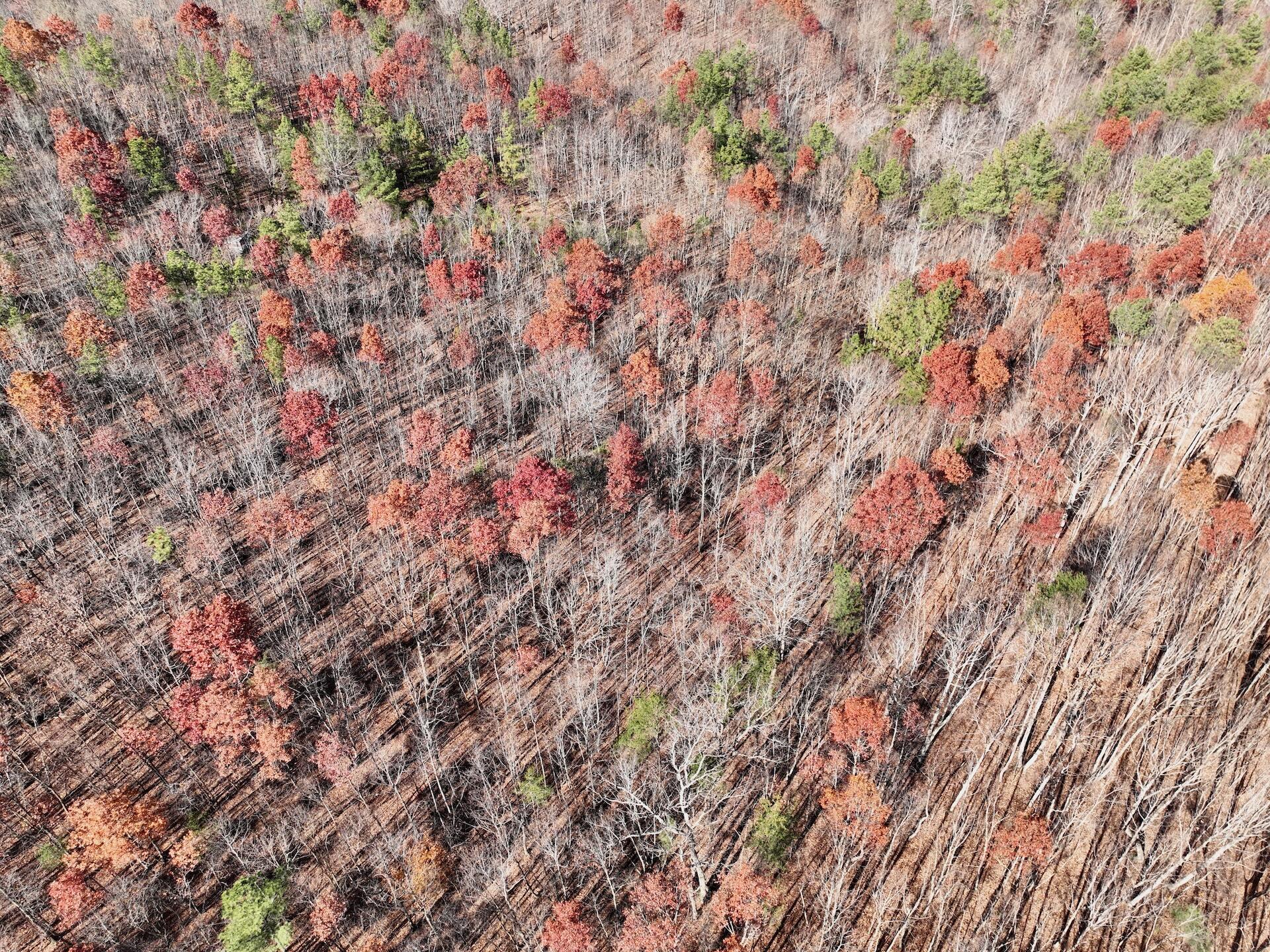 0 Lemon Ridge Lane Appomattox, VA 24522 - Photo 29 of 36