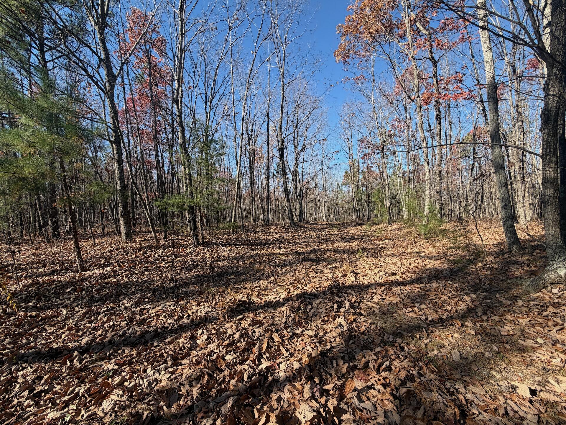 0 Lemon Ridge Lane Appomattox, VA 24522 - Photo 3 of 36 a view of backyard with green space