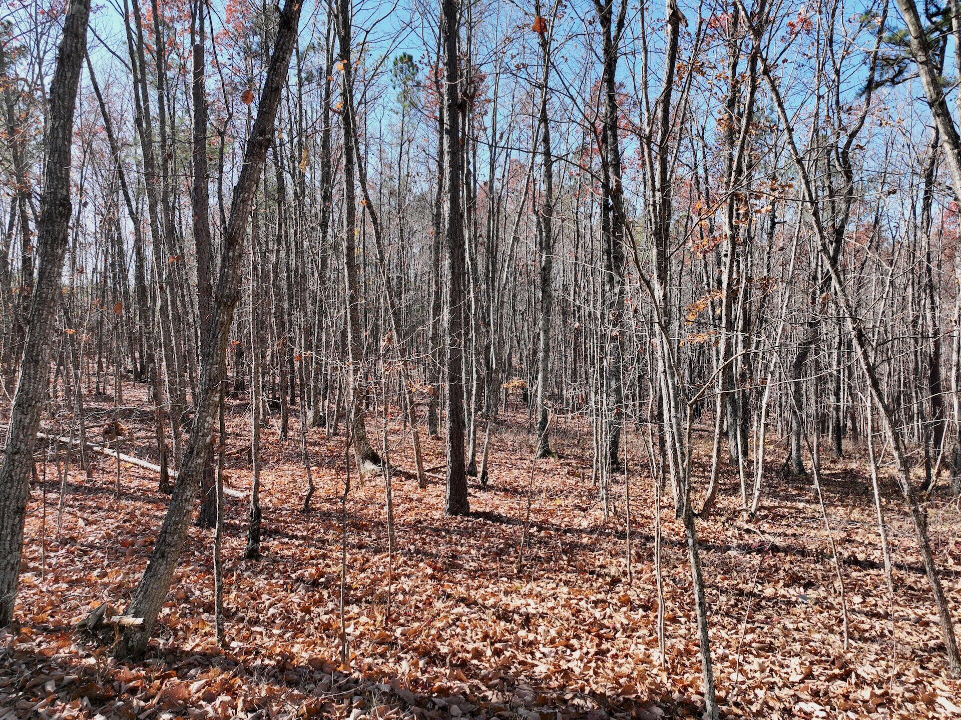 0 Lemon Ridge Lane Appomattox, VA 24522 - Photo 33 of 36 a view of outdoor space with chairs