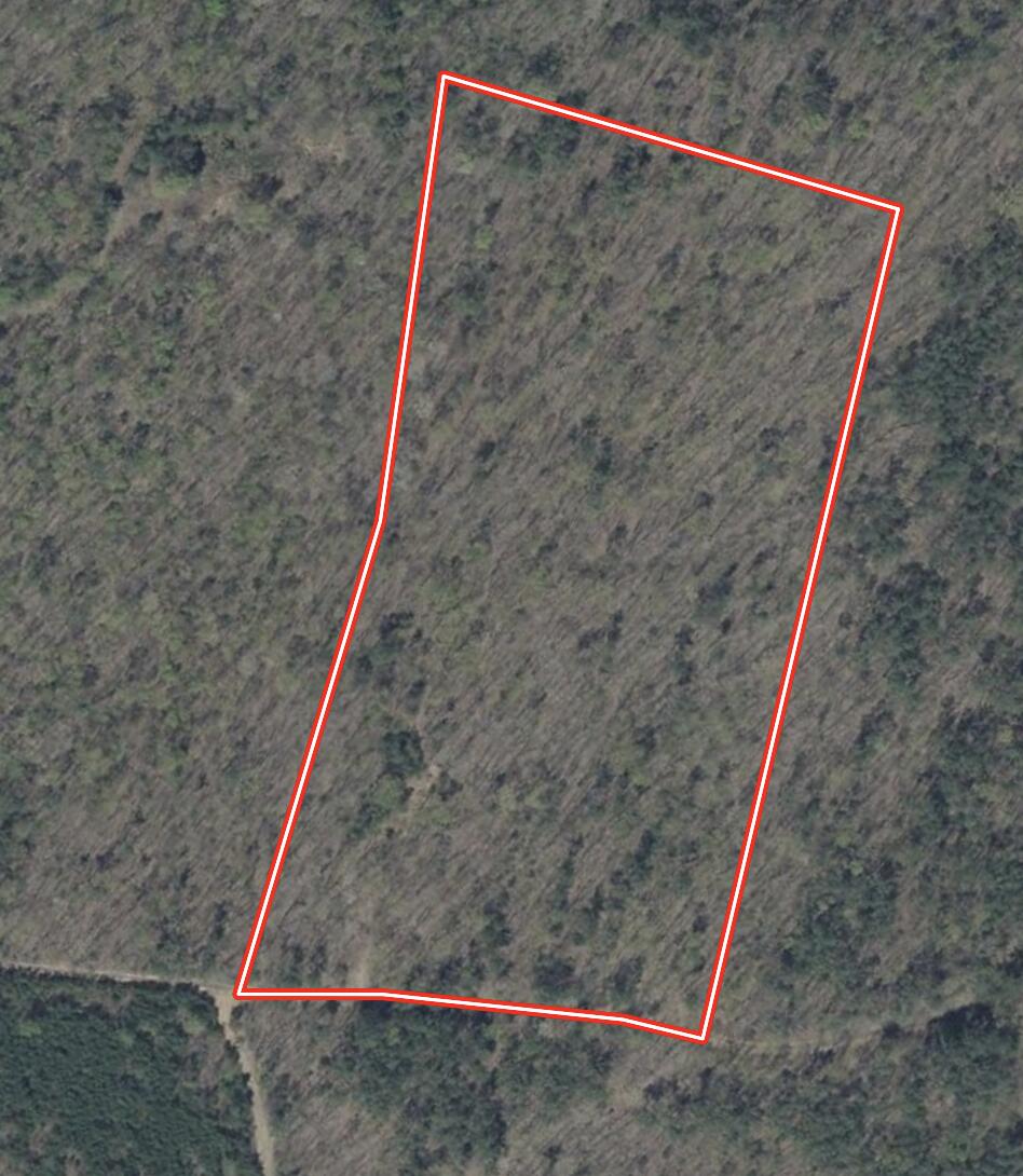 0 Lemon Ridge Lane Appomattox, VA 24522 - Photo 4 of 36 a view of wooden stairs