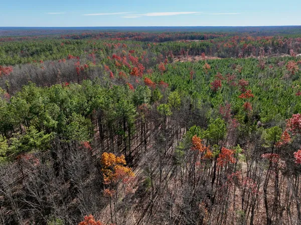 a view of a garden with an outdoor and seating area