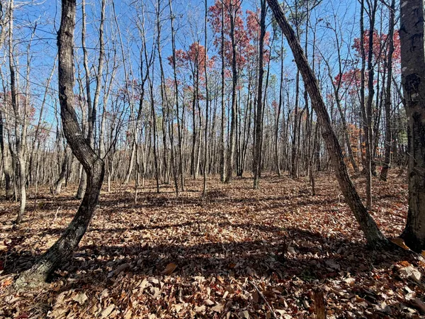 a view of a backyard of the house