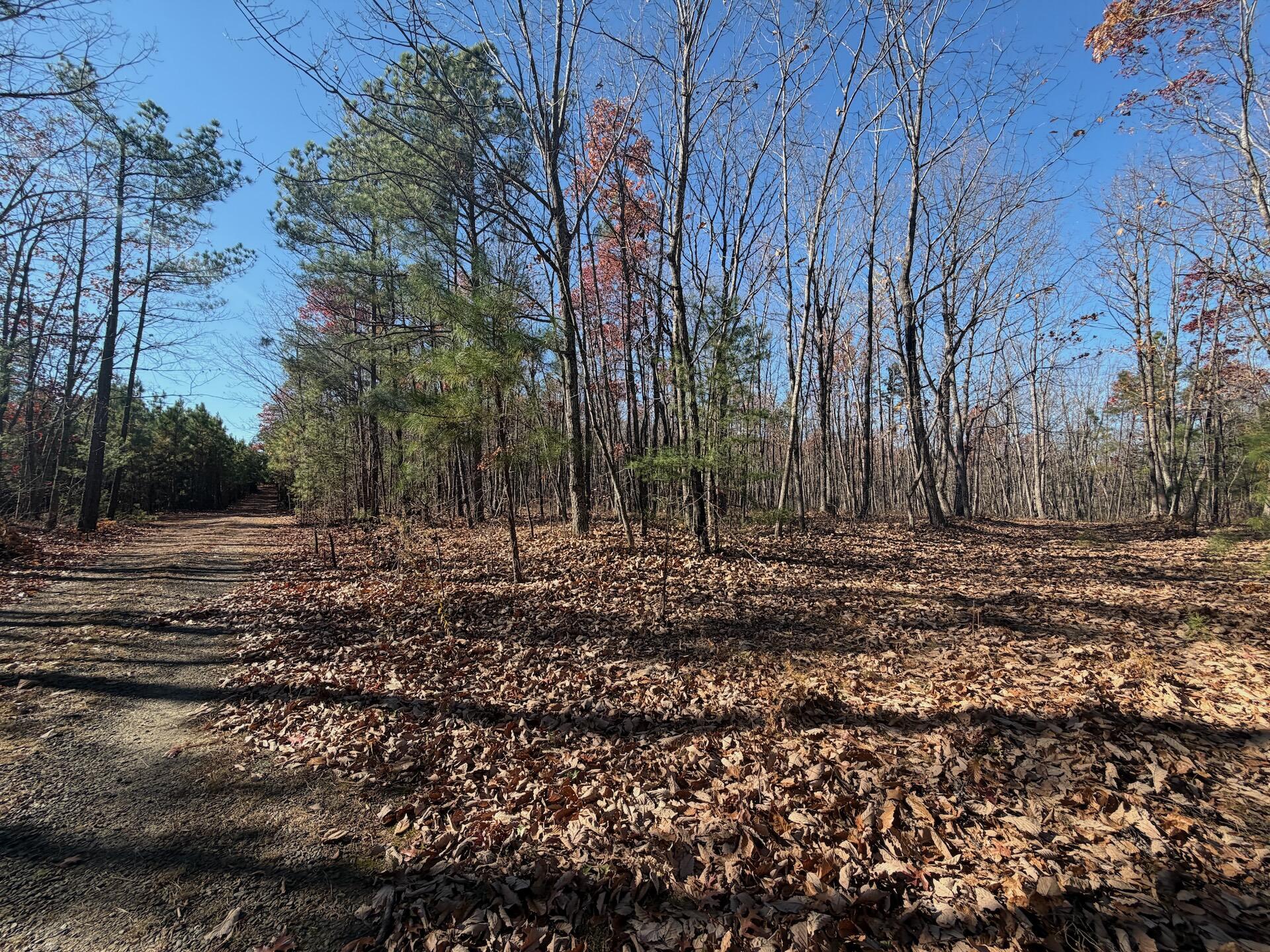 0 Lemon Ridge Lane Appomattox, VA 24522 - Photo 10 of 36 a view of backyard with green space