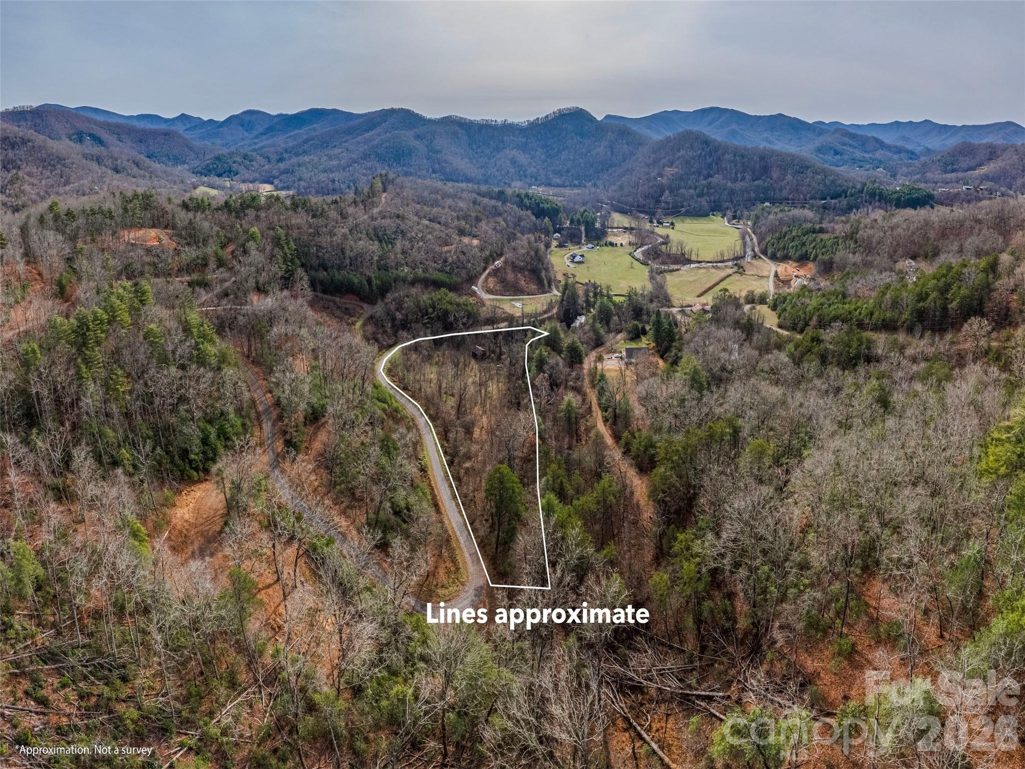 Lot 31 Hooper Cemetery Road Cullowhee, NC 28723 - Photo 20 of 25