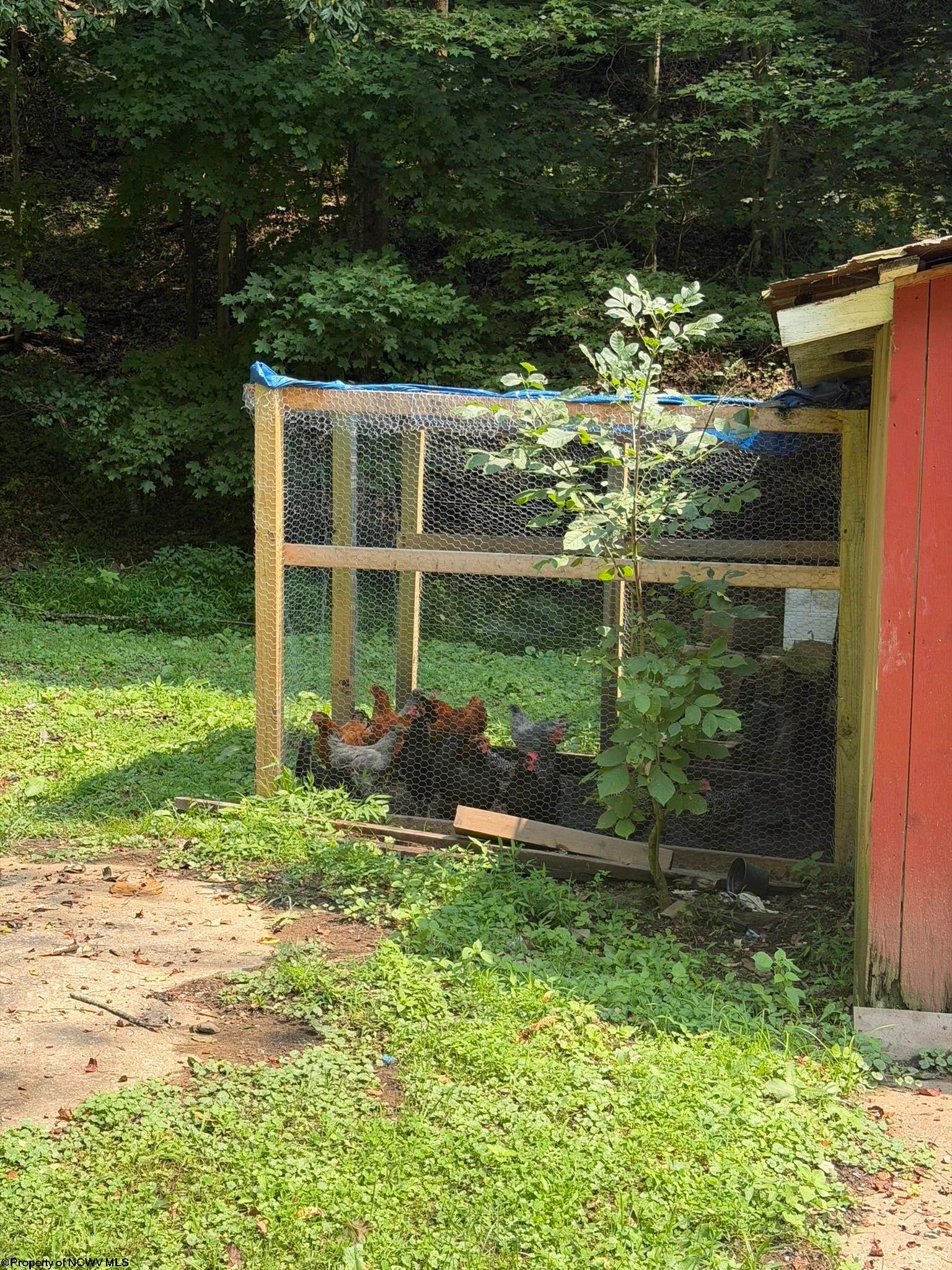 252 Gateway Road Wallace, WV 26448 - Photo 27 of 29 Gallery Image 27