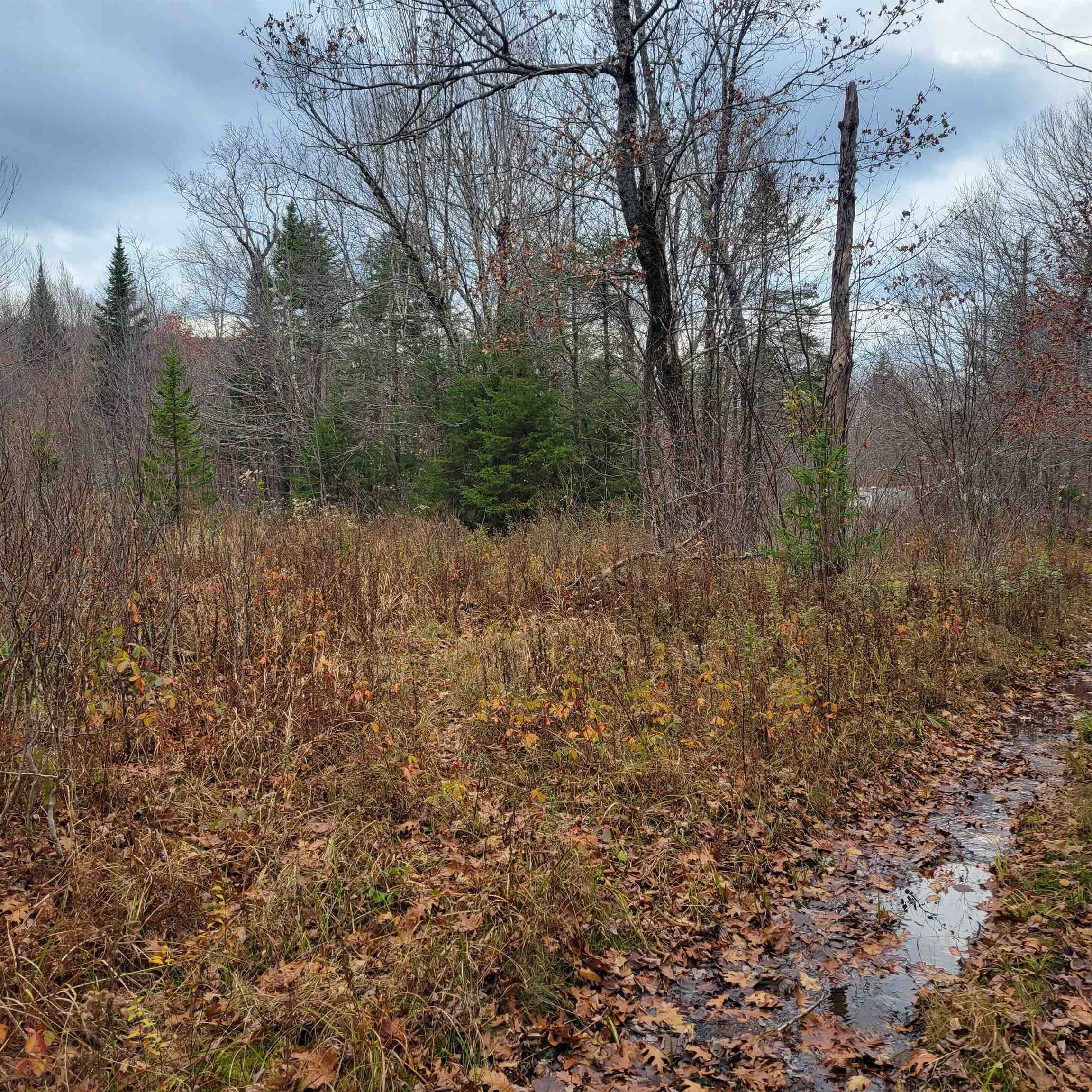 Orange Road Alexandria, NH 03222 - Photo 5 of 13 Gallery Image 5