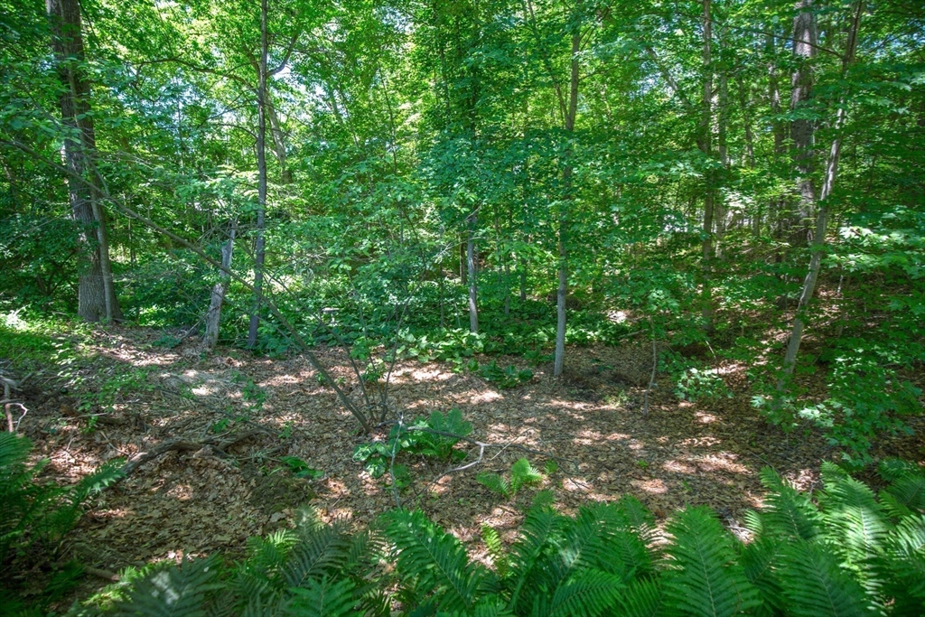 26 Brooks Road Longmeadow, MA 01106 - Photo 40 of 41