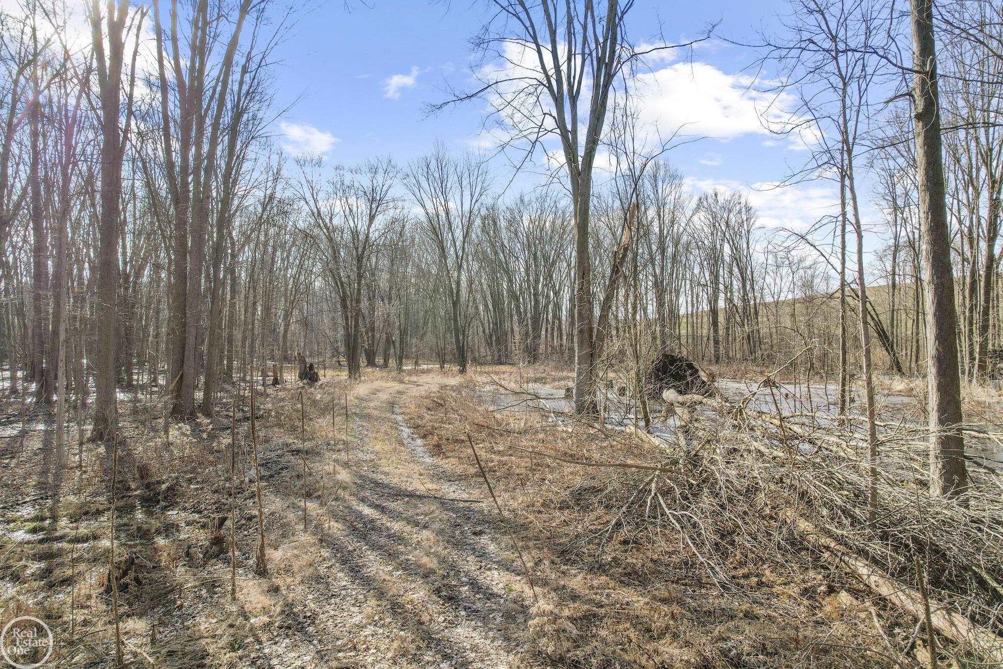 4716 County Line Road New Haven, MI 48048 - Photo 12 of 12
