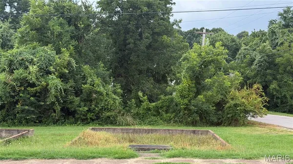 $5,000 | 0 South Side Park Avenue, Poplar Bluff, MO 63901