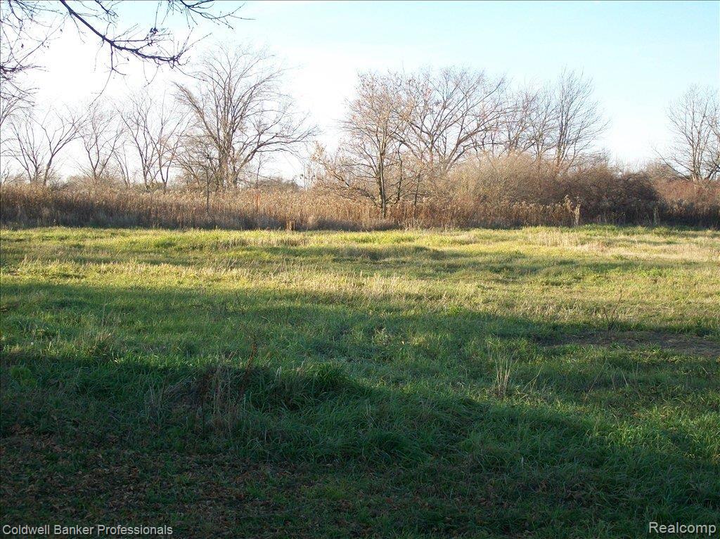 5315 North Lake Road Columbiaville, MI 48421 - Photo 11 of 11 acreage