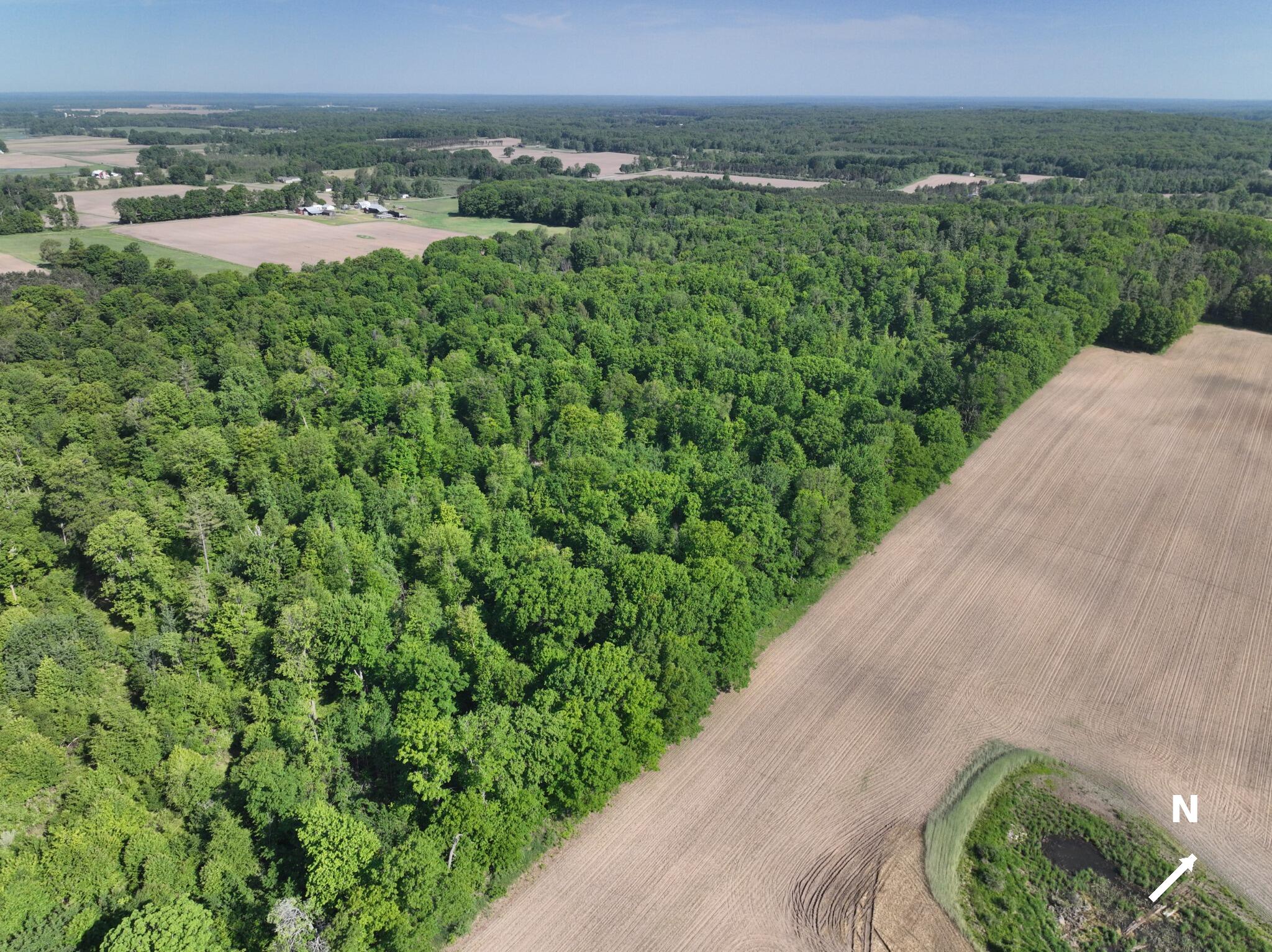 3685 Cypress Road Blanchard, MI 49310 - Photo 5 of 32 North_to_UpperRight