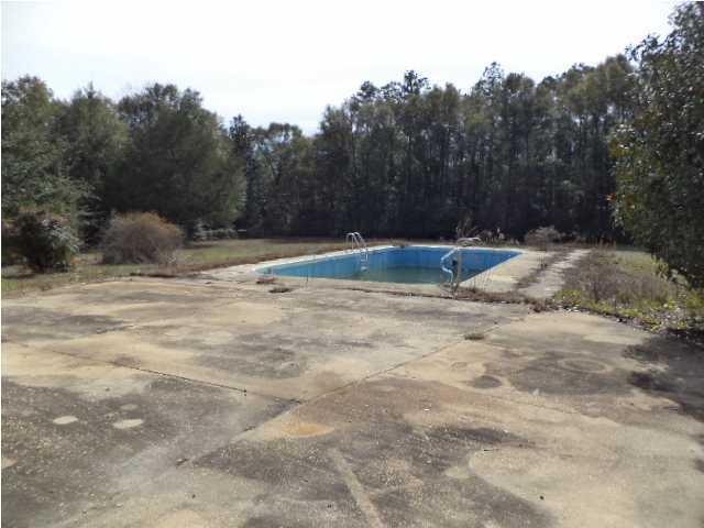 367 Cat Island Road DeFuniak Springs, FL 32433 - Photo 16 of 19 a view of a backyard with trees