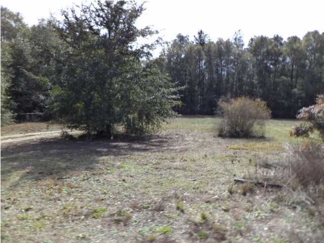 367 Cat Island Road DeFuniak Springs, FL 32433 - Photo 18 of 19 a view of outdoor space with trees