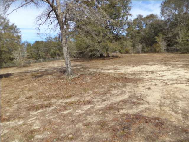 367 Cat Island Road DeFuniak Springs, FL 32433 - Photo 19 of 19 a view of a yard with an trees