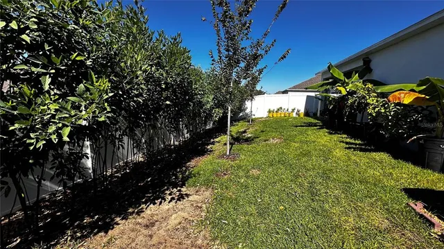 a view of a back yard of the house